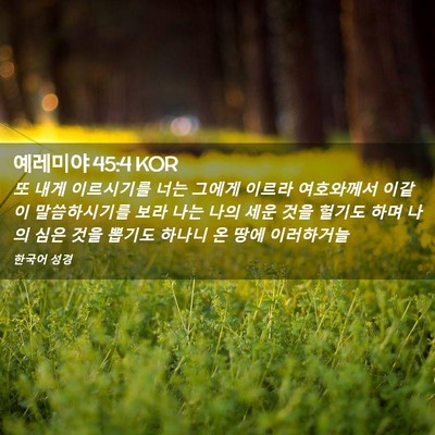 Picture 02 - 예레미야 45:4 KOR - 또 내게 이르시기를 너는 그에게 - Bible Verse Picture