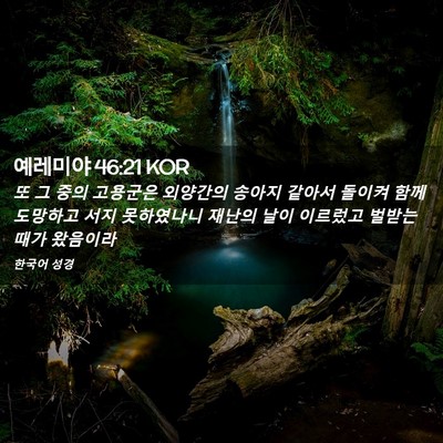 Picture 02 - 예레미야 46:21 KOR - 또 그 중의 고용군은 외양간의 - Bible Verse Picture