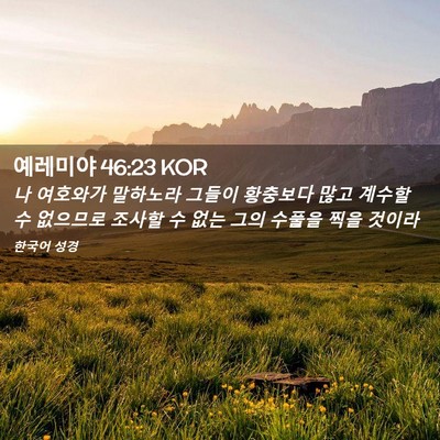 Picture 02 - 예레미야 46:23 KOR - 나 여호와가 말하노라 그들이 - Bible Verse Picture