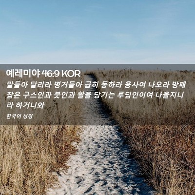 Picture 02 - 예레미야 46:9 KOR - 말들아 달리라 병거들아 급히 동하라 - Bible Verse Picture