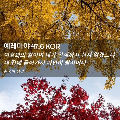 Picture 02 - 예레미야 47:6 KOR - 여호와의 칼이여 네가 언제까지 쉬지 - Bible Verse Picture