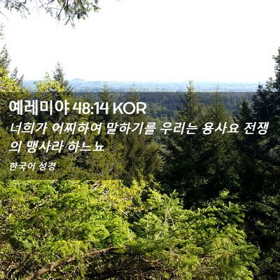 Picture 02 - 예레미야 48:14 KOR - 너희가 어찌하여 말하기를 우리는 - Bible Verse Picture