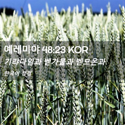 Picture 02 - 예레미야 48:23 KOR - 기랴다임과 벧가물과 - Bible Verse Picture