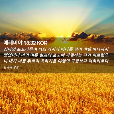 Picture 02 - 예레미야 48:32 KOR - 십마의 포도나무여 너의 가지가 - Bible Verse Picture
