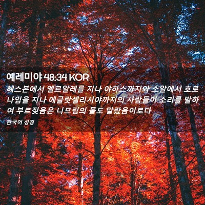 Picture 02 - 예레미야 48:34 KOR - 헤스본에서 엘르알레를 지나 - Bible Verse Picture
