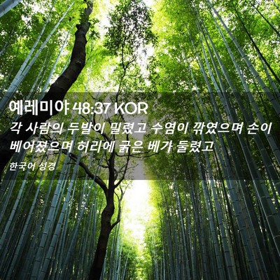 Picture 02 - 예레미야 48:37 KOR - 각 사람의 두발이 밀렸고 수염이 - Bible Verse Picture