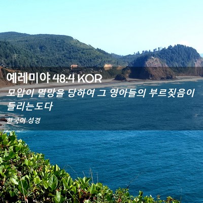 Picture 02 - 예레미야 48:4 KOR - 모압이 멸망을 당하여 그 영아들의 - Bible Verse Picture