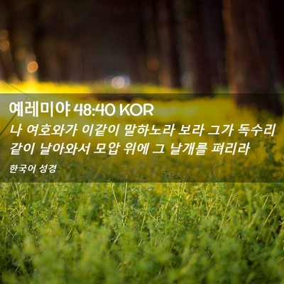 Picture 02 - 예레미야 48:40 KOR - 나 여호와가 이같이 말하노라 보라 - Bible Verse Picture