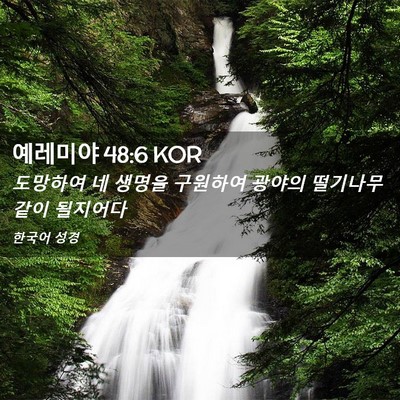 Picture 02 - 예레미야 48:6 KOR - 도망하여 네 생명을 구원하여 광야의 - Bible Verse Picture