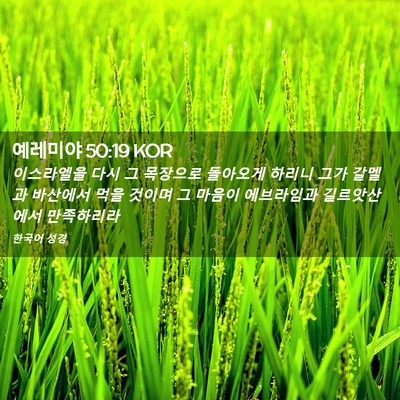 Picture 02 - 예레미야 50:19 KOR - 이스라엘을 다시 그 목장으로 - Bible Verse Picture