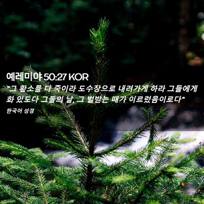 Picture 02 - 예레미야 50:27 KOR - 