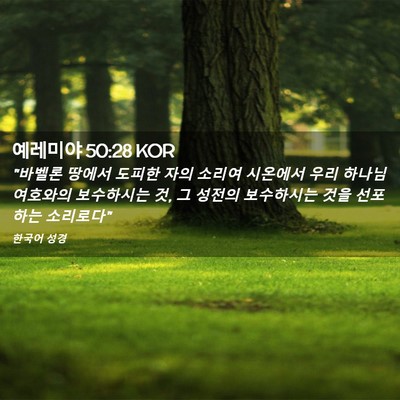 Picture 02 - 예레미야 50:28 KOR - 