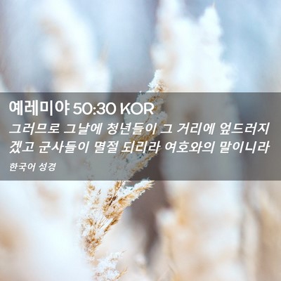 Picture 02 - 예레미야 50:30 KOR - 그러므로 그날에 청년들이 그 거리에 - Bible Verse Picture