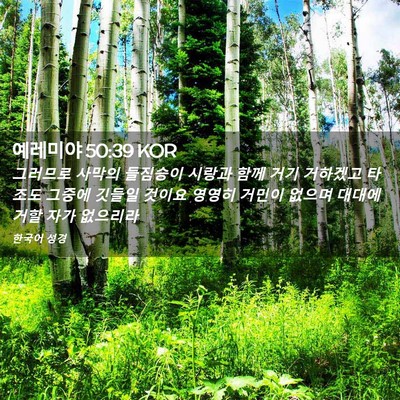 Picture 02 - 예레미야 50:39 KOR - 그러므로 사막의 들짐승이 시랑과 - Bible Verse Picture