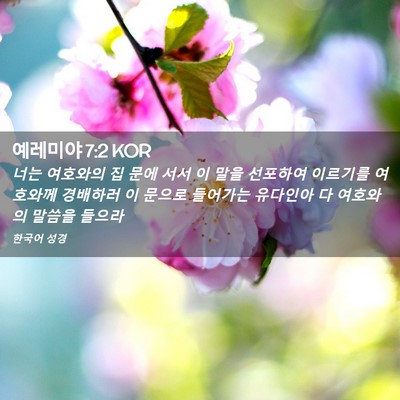 Picture 02 - 예레미야 7:2 KOR - 너는 여호와의 집 문에 서서 이 말을 - Bible Verse Picture