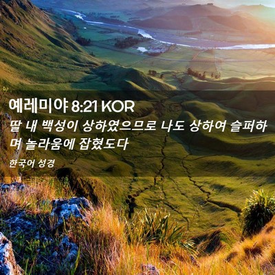 Picture 02 - 예레미야 8:21 KOR - 딸 내 백성이 상하였으므로 나도 - Bible Verse Picture