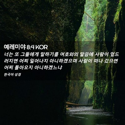 Picture 02 - 예레미야 8:4 KOR - 너는 또 그들에게 말하기를 여호와의 - Bible Verse Picture