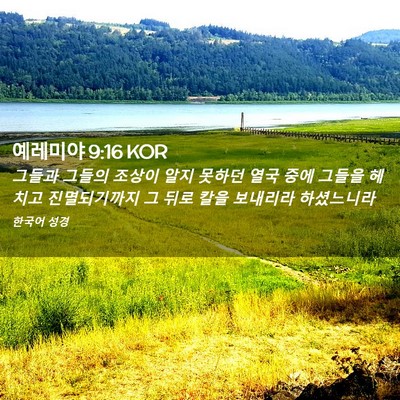 Picture 02 - 예레미야 9:16 KOR - 그들과 그들의 조상이 알지 못하던 - Bible Verse Picture