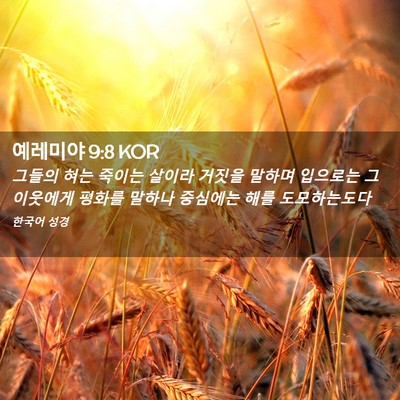 Picture 02 - 예레미야 9:8 KOR - 그들의 혀는 죽이는 살이라 거짓을 - Bible Verse Picture