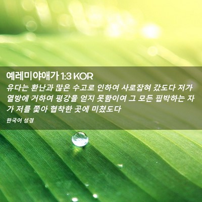 Picture 02 - 예레미야애가 1:3 KOR - 유다는 환난과 많은 수고로 인하여 - Bible Verse Picture