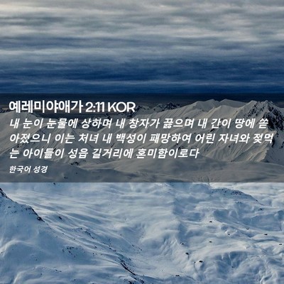 Picture 02 - 예레미야애가 2:11 KOR - 내 눈이 눈물에 상하며 내 창자가 - Bible Verse Picture