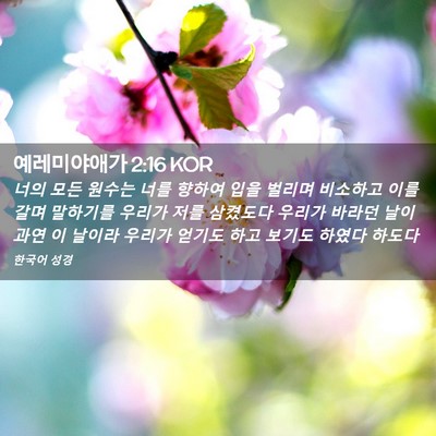 Picture 02 - 예레미야애가 2:16 KOR - 너의 모든 원수는 너를 향하여 입을 - Bible Verse Picture