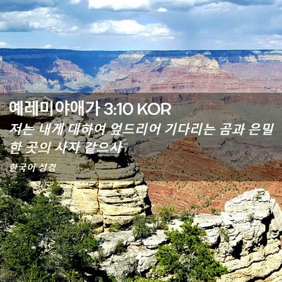 Picture 02 - 예레미야애가 3:10 KOR - 저는 내게 대하여 엎드리어 기다리는 - Bible Verse Picture