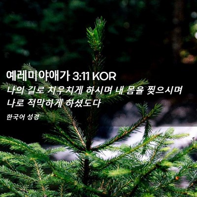 Picture 02 - 예레미야애가 3:11 KOR - 나의 길로 치우치게 하시며 내 몸을 - Bible Verse Picture