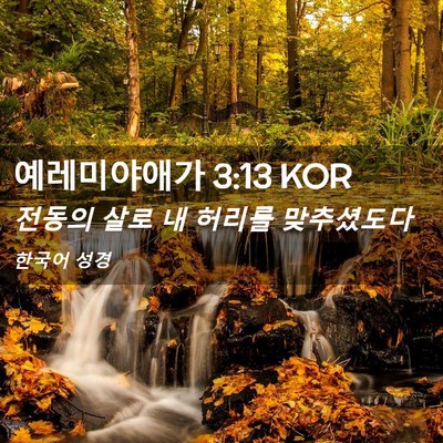 Picture 02 - 예레미야애가 3:13 KOR - 전동의 살로 내 허리를 - Bible Verse Picture