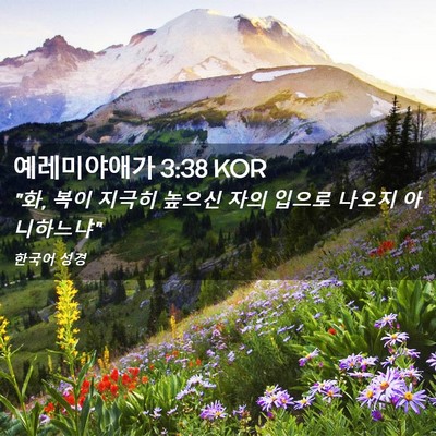 Picture 02 - 예레미야애가 3:38 KOR - 