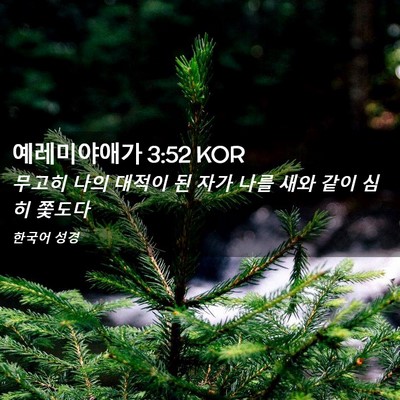 Picture 02 - 예레미야애가 3:52 KOR - 무고히 나의 대적이 된 자가 나를 - Bible Verse Picture