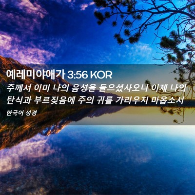 Picture 02 - 예레미야애가 3:56 KOR - 주께서 이미 나의 음성을 - Bible Verse Picture