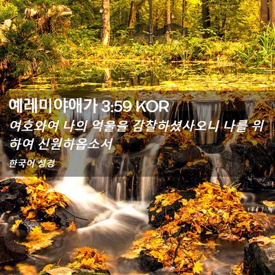 Picture 02 - 예레미야애가 3:59 KOR - 여호와여 나의 억울을 - Bible Verse Picture