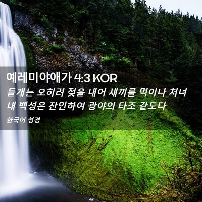 Picture 02 - 예레미야애가 4:3 KOR - 들개는 오히려 젖을 내어 새끼를 - Bible Verse Picture
