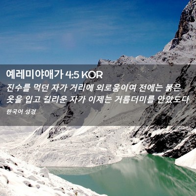 Picture 02 - 예레미야애가 4:5 KOR - 진수를 먹던 자가 거리에 외로움이여 - Bible Verse Picture