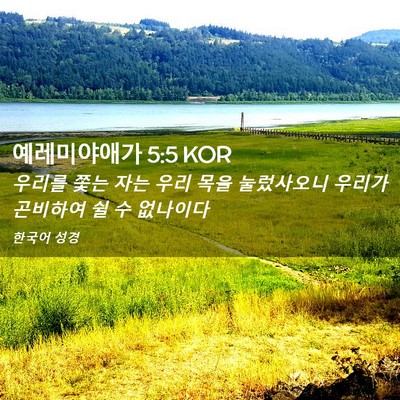 Picture 02 - 예레미야애가 5:5 KOR - 우리를 쫓는 자는 우리 목을 - Bible Verse Picture