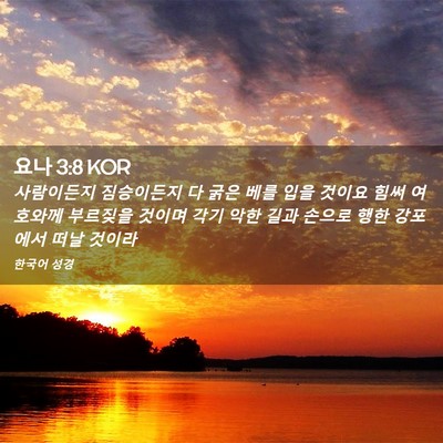 Picture 02 - 요나 3:8 KOR - 사람이든지 짐승이든지 다 굵은 베를 - Bible Verse Picture