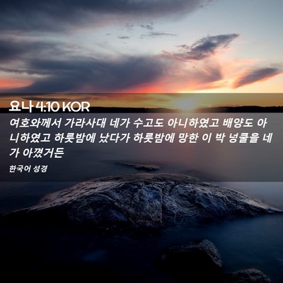Picture 02 - 요나 4:10 KOR - 여호와께서 가라사대 네가 수고도 - Bible Verse Picture