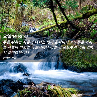 Picture 02 - 요엘 1:5 KOR - 무릇 취하는 자들아 너희는 깨어 - Bible Verse Picture