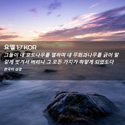 Picture 02 - 요엘 1:7 KOR - 그들이 내 포도나무를 멸하며 내 - Bible Verse Picture