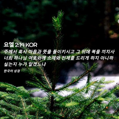 Picture 02 - 요엘 2:14 KOR - 주께서 혹시 마음과 뜻을 돌이키시고 - Bible Verse Picture