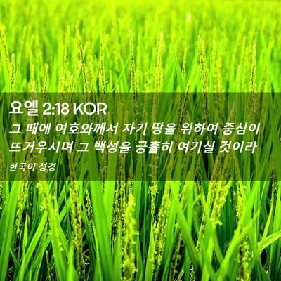 Picture 02 - 요엘 2:18 KOR - 그 때에 여호와께서 자기 땅을 - Bible Verse Picture
