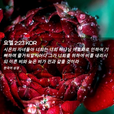 Picture 02 - 요엘 2:23 KOR - 시온의 자녀들아 너희는 너희 하나님 - Bible Verse Picture
