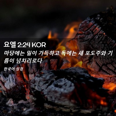 Picture 02 - 요엘 2:24 KOR - 마당에는 밀이 가득하고 독에는 새 - Bible Verse Picture