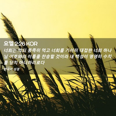 Picture 02 - 요엘 2:26 KOR - 너희는 먹되 풍족히 먹고 너희를 - Bible Verse Picture