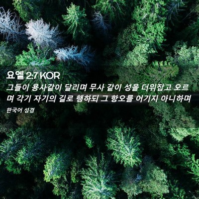 Picture 02 - 요엘 2:7 KOR - 그들이 용사같이 달리며 무사 같이 - Bible Verse Picture