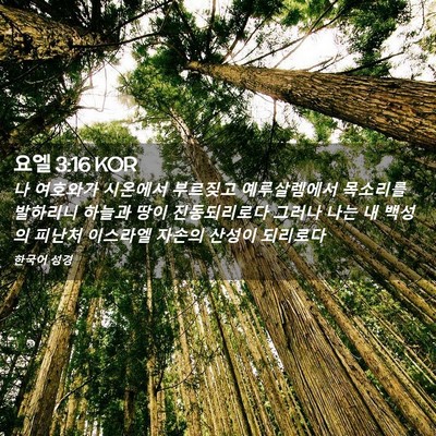 Picture 02 - 요엘 3:16 KOR - 나 여호와가 시온에서 부르짖고 - Bible Verse Picture