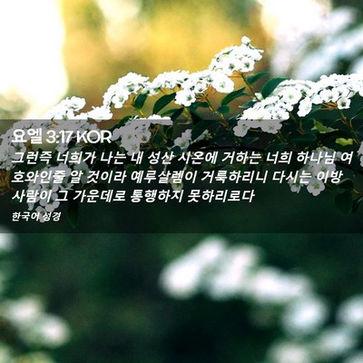 Picture 02 - 요엘 3:17 KOR - 그런즉 너희가 나는 내 성산 시온에 - Bible Verse Picture