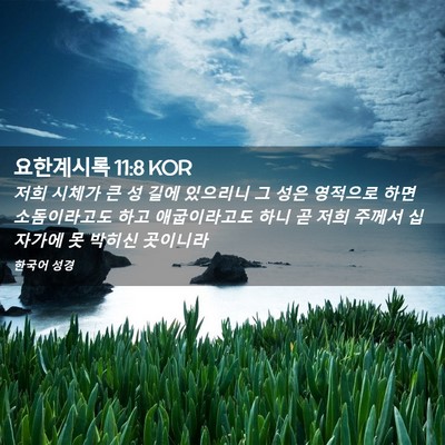 Picture 02 - 요한계시록 11:8 KOR - 저희 시체가 큰 성 길에 있으리니 그 - Bible Verse Picture