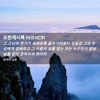 Picture 02 - 요한계시록 14:11 KOR - 그 고난의 연기가 세세토록 - Bible Verse Picture